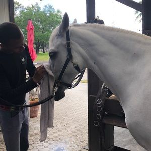 Meet your Posher, Lena